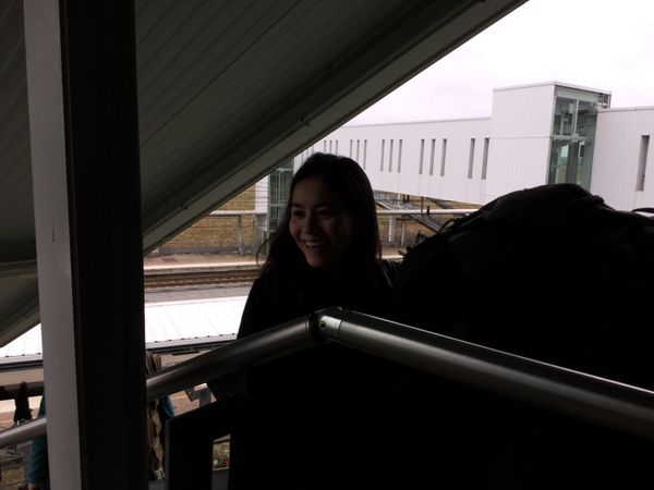 まあさん　来マル