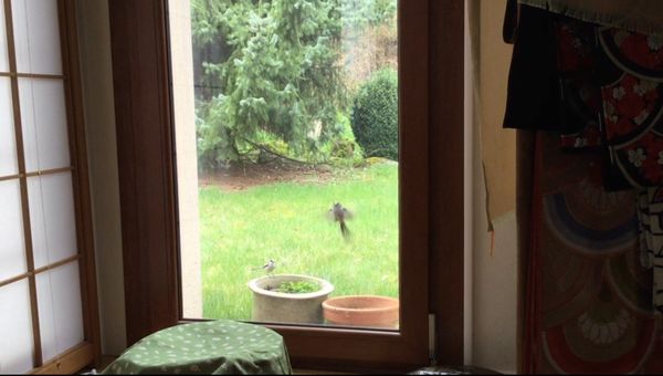 A型肝炎ワクチン接種